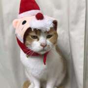 ヒメ日記 2024/12/17 07:00 投稿 ちはる SUZUME