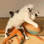 ヒメ日記 2024/12/20 18:16 投稿 ちはる SUZUME