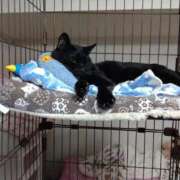 ヒメ日記 2024/12/20 19:18 投稿 ちはる SUZUME