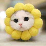 ヒメ日記 2024/12/28 20:09 投稿 ちはる SUZUME