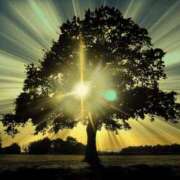 ヒメ日記 2024/12/31 20:05 投稿 ちはる SUZUME