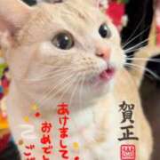 ヒメ日記 2025/01/01 14:13 投稿 ちはる SUZUME