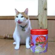 ヒメ日記 2025/01/08 21:49 投稿 ちはる SUZUME