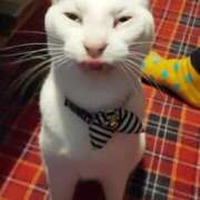 ヒメ日記 2025/01/09 05:27 投稿 ちはる SUZUME