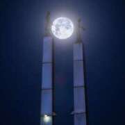 ヒメ日記 2025/01/14 22:27 投稿 ちはる SUZUME