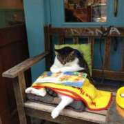 ヒメ日記 2025/01/15 06:59 投稿 ちはる SUZUME