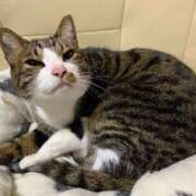 ヒメ日記 2025/01/16 05:09 投稿 ちはる SUZUME