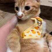 ヒメ日記 2025/01/19 22:55 投稿 ちはる SUZUME