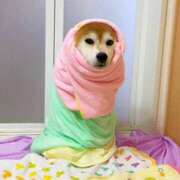 ヒメ日記 2025/02/04 14:11 投稿 ちはる SUZUME