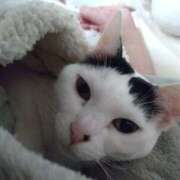 ヒメ日記 2025/02/07 14:03 投稿 ちはる SUZUME