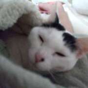 ヒメ日記 2025/02/08 06:22 投稿 ちはる SUZUME