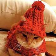 ヒメ日記 2025/02/19 14:01 投稿 ちはる SUZUME