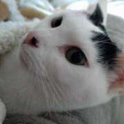 ヒメ日記 2025/02/20 07:29 投稿 ちはる SUZUME