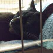 ヒメ日記 2025/02/26 04:56 投稿 ちはる SUZUME