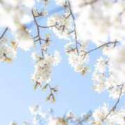 ヒメ日記 2025/02/28 17:57 投稿 ちはる SUZUME