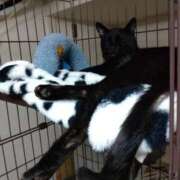 ヒメ日記 2025/03/01 04:25 投稿 ちはる SUZUME