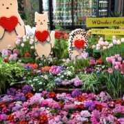 ヒメ日記 2025/03/01 16:05 投稿 ちはる SUZUME