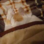 ヒメ日記 2025/03/07 05:26 投稿 ちはる SUZUME