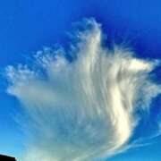 ヒメ日記 2025/03/08 17:20 投稿 ちはる SUZUME