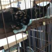 ヒメ日記 2025/03/19 05:10 投稿 ちはる SUZUME