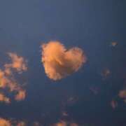 ヒメ日記 2025/03/19 20:05 投稿 ちはる SUZUME