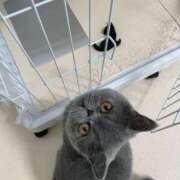 ヒメ日記 2025/03/20 04:51 投稿 ちはる SUZUME