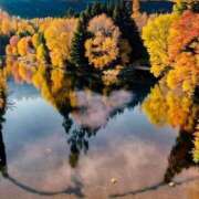 ヒメ日記 2025/03/21 19:56 投稿 ちはる SUZUME