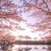 ヒメ日記 2025/03/22 17:58 投稿 ちはる SUZUME