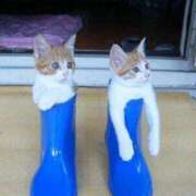 ヒメ日記 2025/03/23 21:21 投稿 ちはる SUZUME