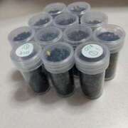 ヒメ日記 2025/03/25 16:11 投稿 ちはる SUZUME