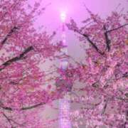 ヒメ日記 2025/03/25 21:14 投稿 ちはる SUZUME