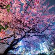 ヒメ日記 2025/03/26 19:00 投稿 ちはる SUZUME