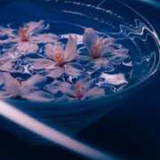 ヒメ日記 2025/03/27 15:11 投稿 ちはる SUZUME