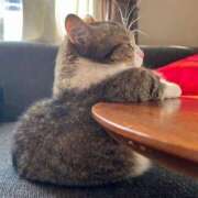 ヒメ日記 2025/03/28 05:30 投稿 ちはる SUZUME