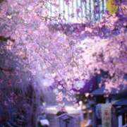 ヒメ日記 2025/03/29 18:10 投稿 ちはる SUZUME