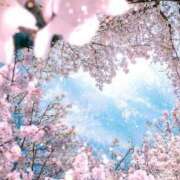 ヒメ日記 2025/04/01 08:38 投稿 ちはる SUZUME