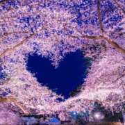 ヒメ日記 2025/04/04 01:08 投稿 ちはる SUZUME