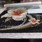 ヒメ日記 2025/04/05 10:00 投稿 ちはる SUZUME