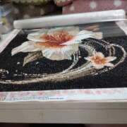 ヒメ日記 2025/04/07 20:05 投稿 ちはる SUZUME