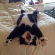 ヒメ日記 2025/04/08 06:45 投稿 ちはる SUZUME