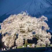 ヒメ日記 2025/04/12 00:59 投稿 ちはる SUZUME