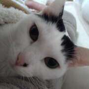 ヒメ日記 2025/04/14 22:23 投稿 ちはる SUZUME