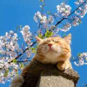 ヒメ日記 2025/04/16 16:46 投稿 ちはる SUZUME