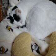 ヒメ日記 2025/04/16 20:25 投稿 ちはる SUZUME