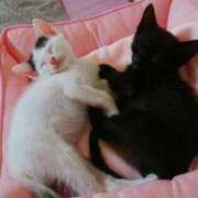 ヒメ日記 2025/04/21 17:47 投稿 ちはる SUZUME