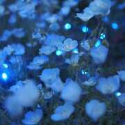 ヒメ日記 2025/04/21 23:00 投稿 ちはる SUZUME