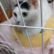 ヒメ日記 2025/04/23 05:05 投稿 ちはる SUZUME