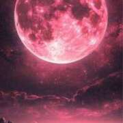 ヒメ日記 2025/07/17 19:57 投稿 ちはる SUZUME