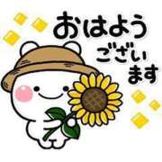 ヒメ日記 2025/07/19 06:31 投稿 ちはる SUZUME