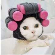 ヒメ日記 2025/08/05 17:21 投稿 ちはる SUZUME